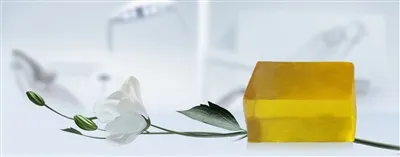 A Brief Analysis Of The Application Of Hot-Melt Adhesive in Trapping Insects And Flies